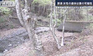 Mystery Deepens with Charred Bodies Identified in Tochigi