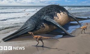Prehistoric sea reptile 'twice as long as bus'