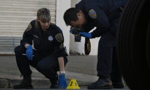 The role of forensic science in solving true crime cases