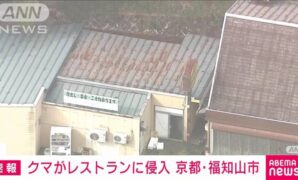 クマが京都府福知山市のレストランに侵入 現在は倉庫に閉じ込めている状態