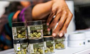 Marijuana could be reclassified in U.S. as less dangerous