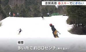 Nagano's Shiga Kogen Ski Resort Alive with 80cm Snow