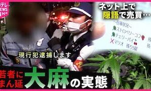 The Grim Reality of Marijuana Use in Japan