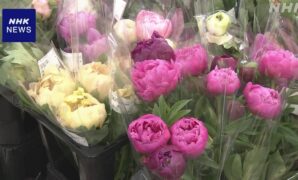 「母の日」に何贈る？特産の花や特別なサービスで感謝伝える