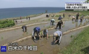 石川 輪島 地震で被害の「白米の千枚田」で田植え